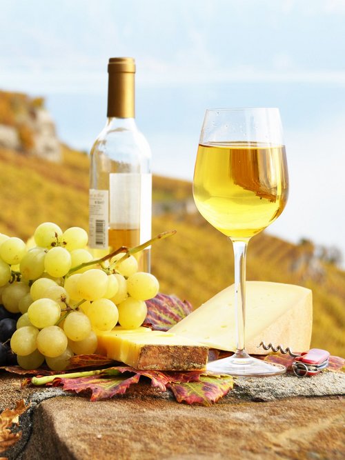 Дегустация лионских вин