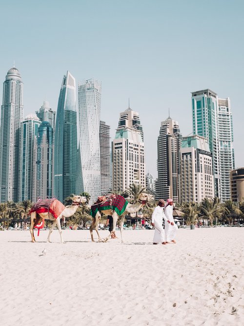 Dubai Airport Camels Beach