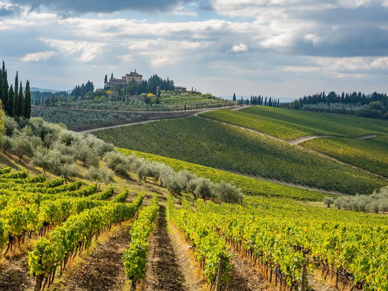 Toscana Chianti Region